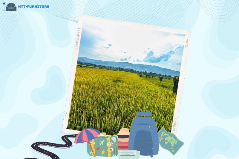 Cánh đồng Mường Lò