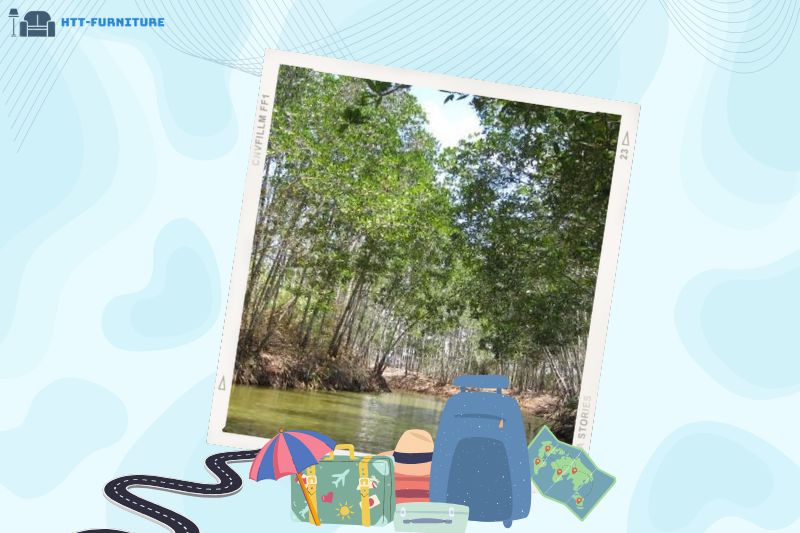 Rừng đước Trà Vinh