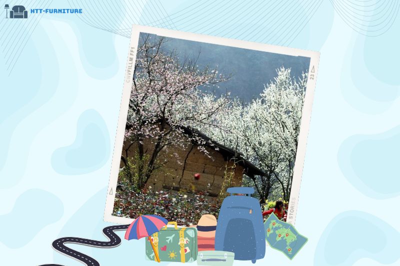 Thung lũng mận Nà Kha