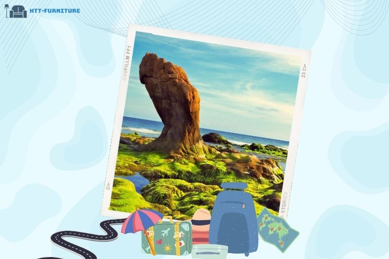 Top địa điểm du lịch Bình Thuận Không Nên Bỏ Lỡ