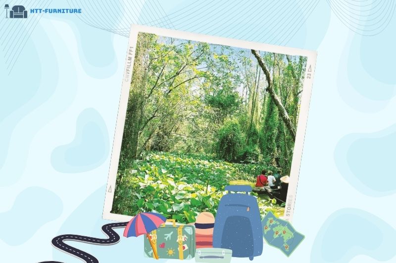 Top địa điểm du lịch Đồng Tháp Không Nên Bỏ Lỡ