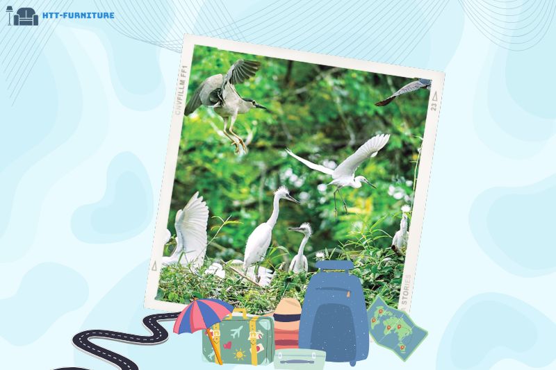 Vườn Cò Tân Long