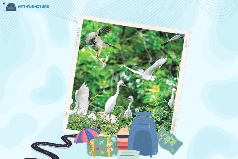 Vườn Cò Tân Long