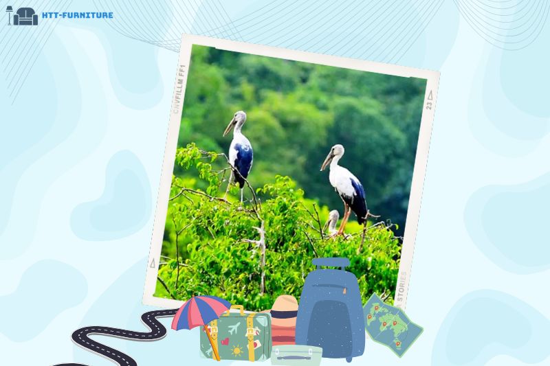 Vườn cò Bằng Lăng