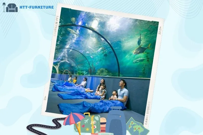 Giới Thiệu Chung Về Thủy Cung Times City Hà Nội