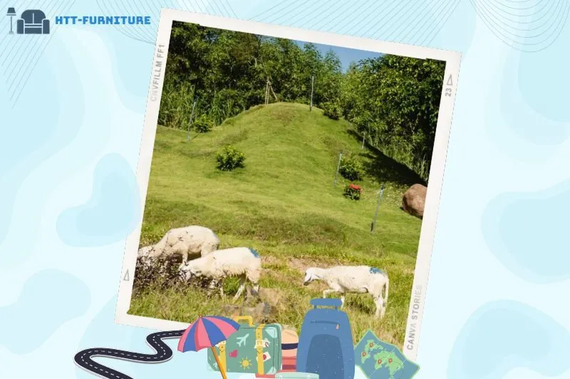 Gợi ý lịch trình tham quan và lưu trú