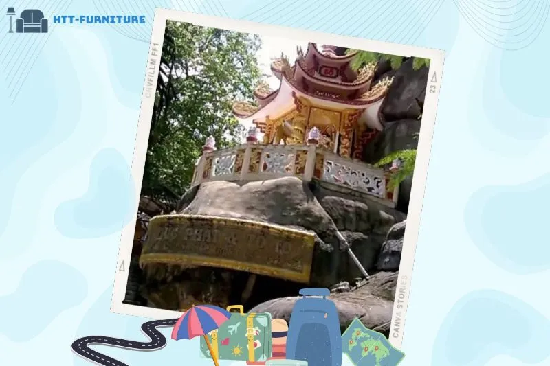 Hướng Dẫn Cách Đi Safari Núi Dinh Từ Sài Gòn