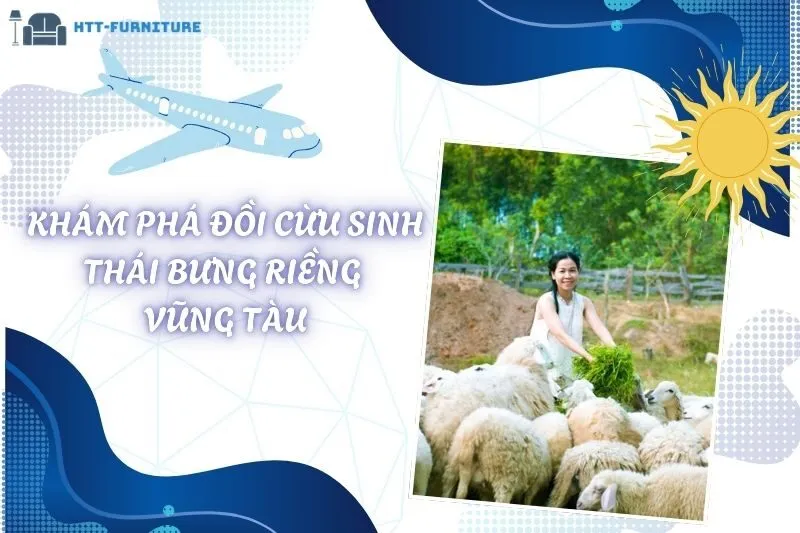 Khám Phá Đồi Cừu Sinh Thái Bưng Riềng Vũng Tàu: Trải Nghiệm Cực Chill