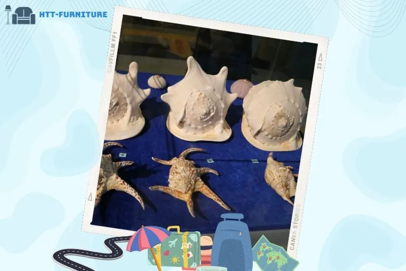 Những hiện vật lịch sử quý giá đang được trưng bày