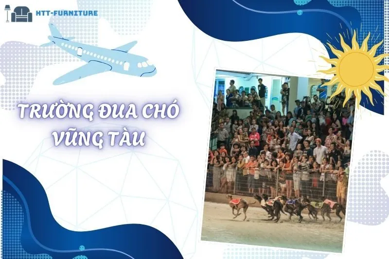 Trường Đua Chó Vũng Tàu: Đã Đóng Cửa Nhưng Vẫn Gây Thương Nhớ Với Điều Này