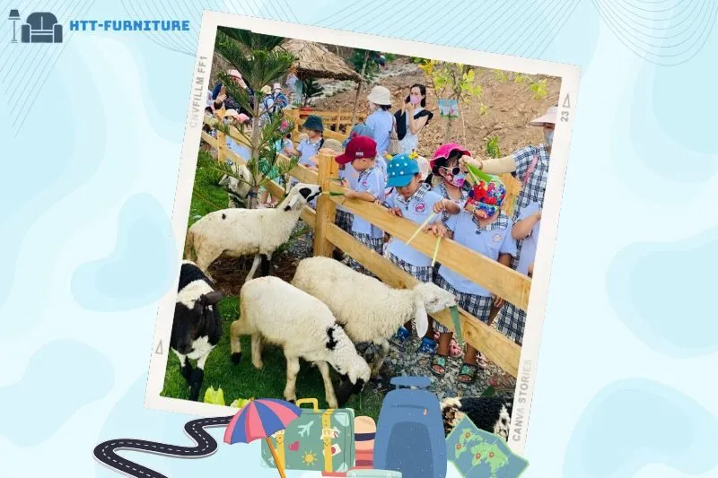 Ulala Farm Vũng Tàu có gì chơi? Khám phá những trải nghiệm nổi bật